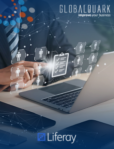 intranet-y-extranet